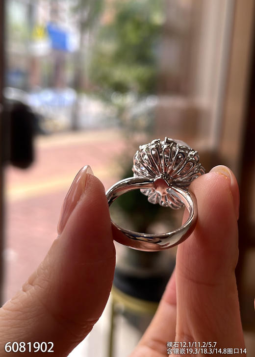 6081902，蛋面戒指。具体价格微信操作 商品图5