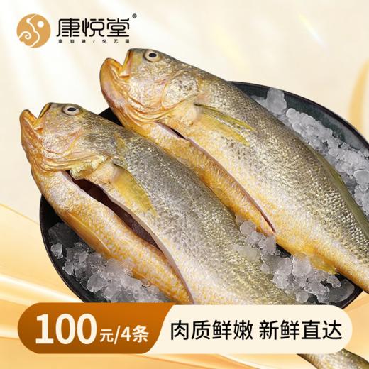 【FM93.6私家车广播】海捕黄花鱼 肉质鲜嫩 商品图0