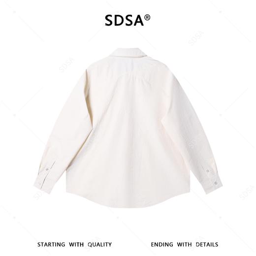 SDSA男装2026新款高贵轻奢韩系简约纯色竖纹领带长袖衬衫百搭宽松 商品图4