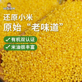 【新品下单送煎饼】【有机黄小米】阿福视界有机黄小米辽宁朝阳小米主食五谷杂粮米米油丰富无添加