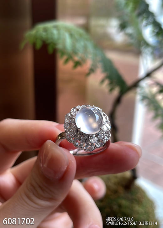 6081702，蛋面戒指。具体价格微信咨询 商品图2