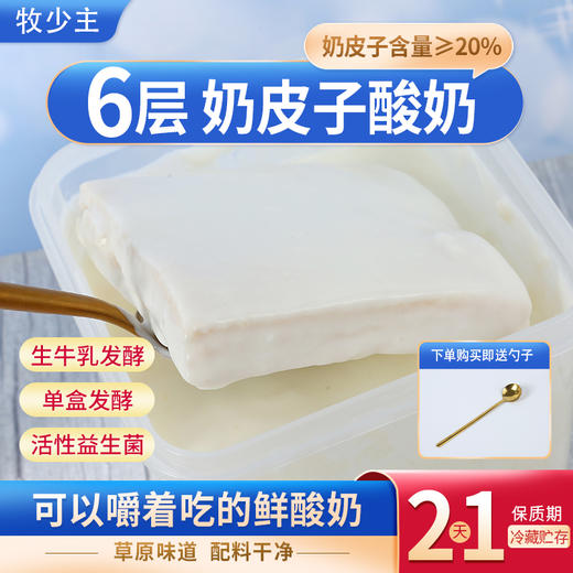 【牧少主·六层奶皮子酸奶 】源于内蒙古黄金奶源带 纯正香浓生牛乳 进口活菌慢发酵 奶香浓郁 细腻柔滑 自然醇厚 商品图5