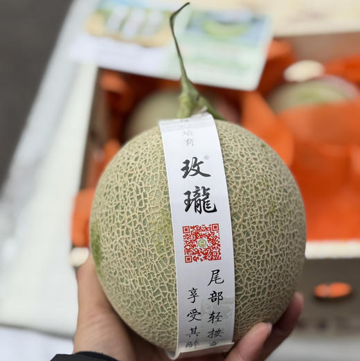 海南网纹玫珑蜜瓜 商品图2