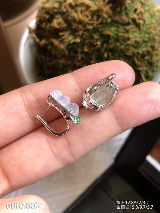 6083602，福豆耳钉。具体价格微信咨询 商品图5