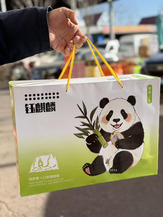 海南树熟燕窝果 商品图6