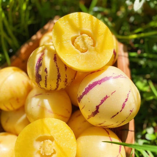 石家庄优选仓库速达，七彩人参果，树上自然熟，口感清甜，奶味香浓，汁水清甜，满口爆汁！单果50-80g/颗，家庭装5斤/8斤装 商品图11