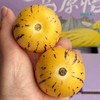 云南树熟人参果【净重约4斤】～有了它~连水都不想喝 爱你所爱，解你之馋因月云南人参果，薄皮厚肉，汁水爆满每一粒足够水足够清甜，超级解渴水份超级足，我得妈呀吃一口完全停不下来的感觉。 商品缩略图3