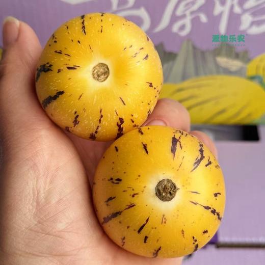 云南树熟人参果【净重约4斤】～有了它~连水都不想喝 爱你所爱，解你之馋因月云南人参果，薄皮厚肉，汁水爆满每一粒足够水足够清甜，超级解渴水份超级足，我得妈呀吃一口完全停不下来的感觉。 商品图3