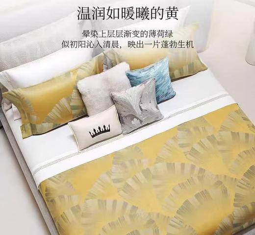 【春上新】10楼罗芙  意大利进口埃及长绒棉 欧式提花件套-拉齐奥240*240cm  吊牌价15800元 活动价8800元 商品图3