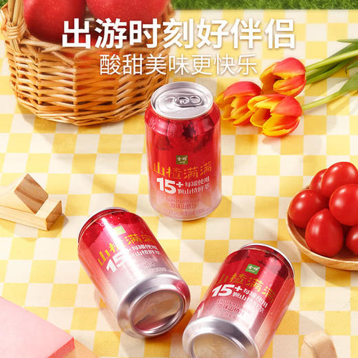 MM 山姆 金晔 山楂满满山楂汁 310ml*24 商品图3