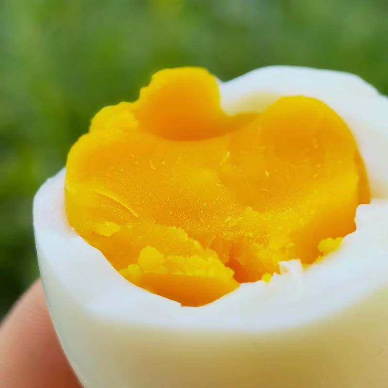 【山林散养五黑鸡】鸡蛋中的珍品 蛋香浓郁 没有蛋腥味（京东快递，新疆西藏以及冬天0度以下地方不发货）