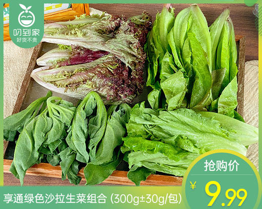 享通绿色沙拉生菜组合（300g±30g/包） 商品图0