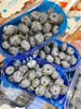 【宏丰精选】超大蓝莓，口感纯甜，果粉足，活动价25一盒 商品缩略图2