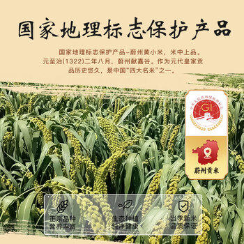 蔚州黄小米5斤 2025年新农家粮食小黄米五谷杂粮粗粮食用养胃粥 /粮油调味 /杂粮 /谷米类 商品图2