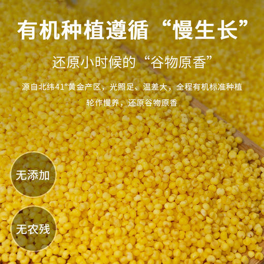 【新品下单送煎饼】【有机黄小米】阿福视界有机黄小米辽宁朝阳小米主食五谷杂粮米米油丰富无添加 商品图3