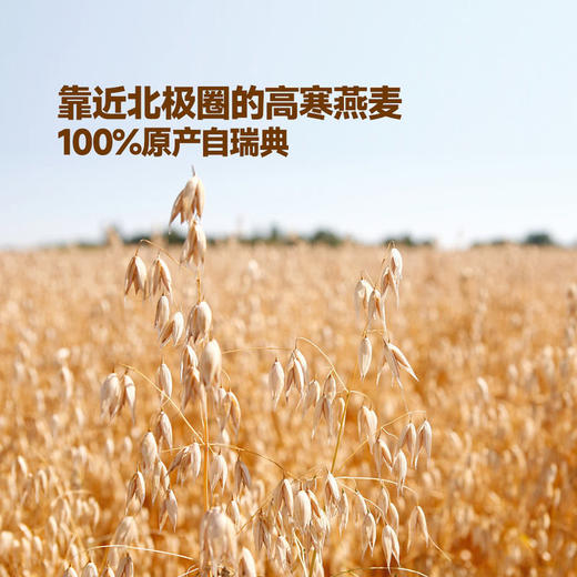 MM 山姆 Grona Mejeriet瑞典进口 咖啡大师燕麦饮（谷物饮料）1L*6 商品图2