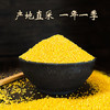 蔚州黄小米5斤 2025年新农家粮食小黄米五谷杂粮粗粮食用养胃粥 /粮油调味 /杂粮 /谷米类 商品缩略图3