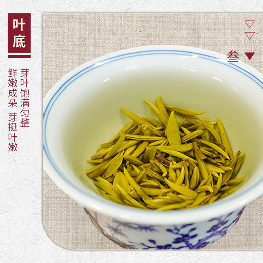 【山纯限品】（2026年绿茶）006毛峰20g 商品图4