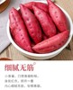 周五取货：【海南沙地小香薯】一袋3斤左右，细腻香甜，美味营养！ 商品缩略图5