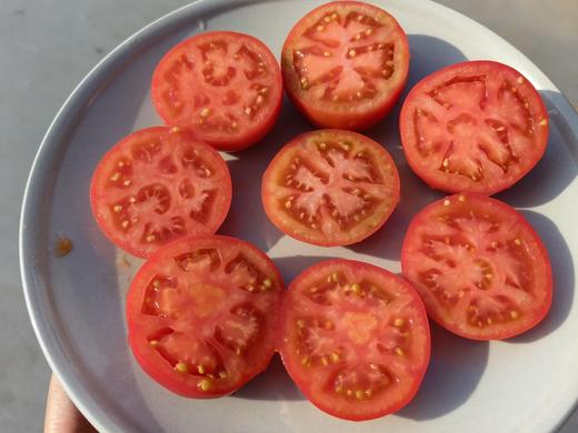 【超莓番茄】果味浓郁，甜味清新自然，吃一口酸甜！脆爽，爆汁儿-CC 商品图2