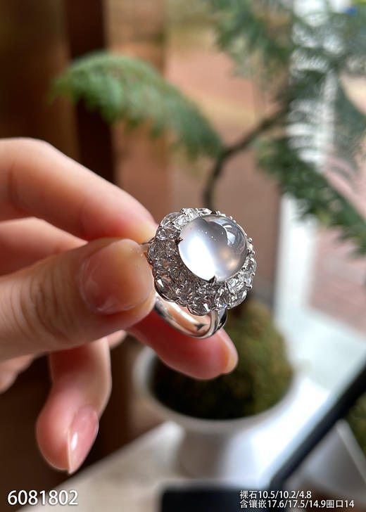 6081802，蛋面戒指。具体价格微信咨询 商品图0