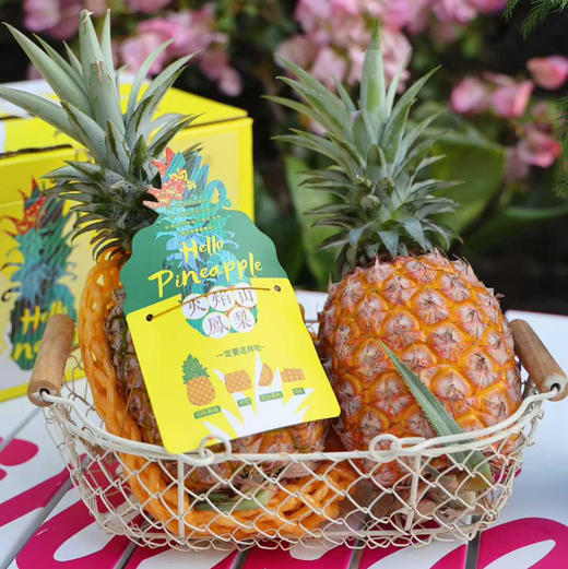 海南甜炸天大金砖凤梨顺丰快递包邮下单从三亚发货 商品图4