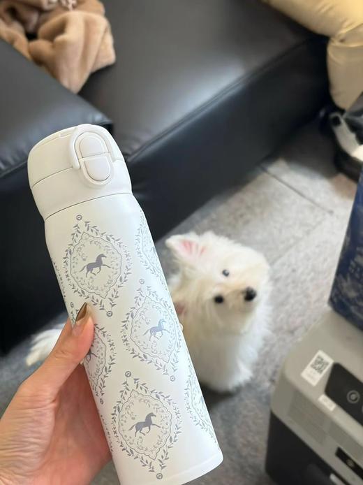 三八女神节福利！无补❗️YANIS3双环提手600ml/弹跳双饮500ml保温杯 26G0303 商品图14