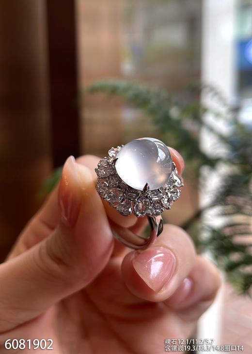 6081902，蛋面戒指。具体价格微信操作 商品图1