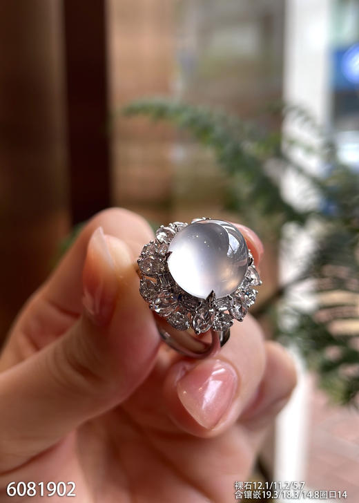 6081902，蛋面戒指。具体价格微信操作 商品图0