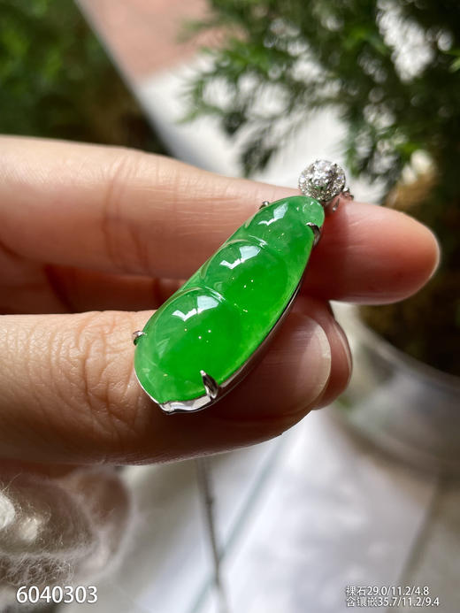 老坑艳绿福豆吊坠【6040303】具体价格微信咨询 商品图5