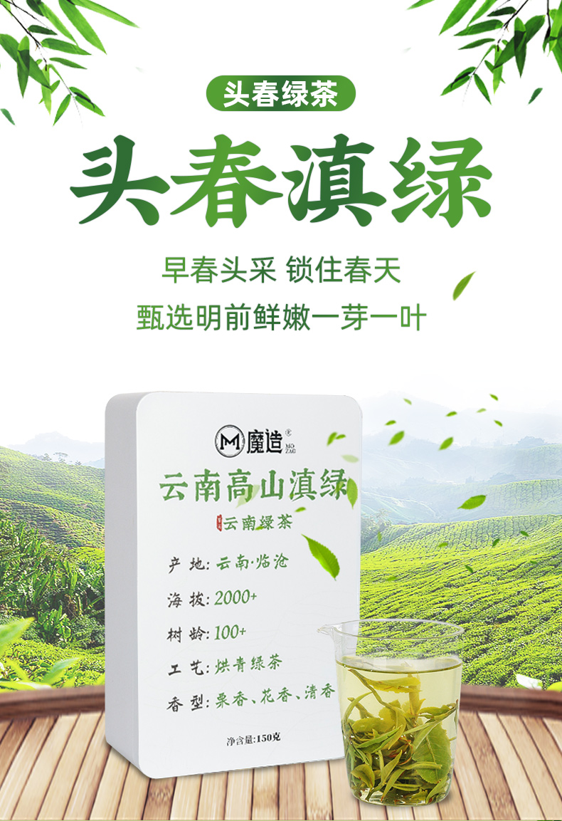 2026头春第一批绿茶