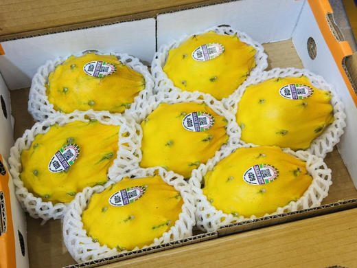 哥伦比亚燕窝果礼盒装（7个装） 商品图0