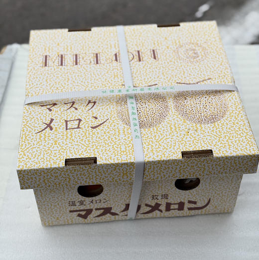 海南网纹玫珑蜜瓜 商品图6