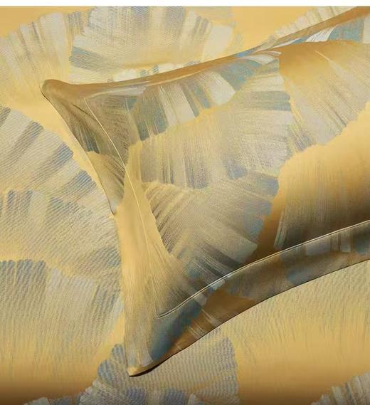 【春上新】10楼罗芙  意大利进口埃及长绒棉 欧式提花件套-拉齐奥240*240cm  吊牌价15800元 活动价8800元 商品图2