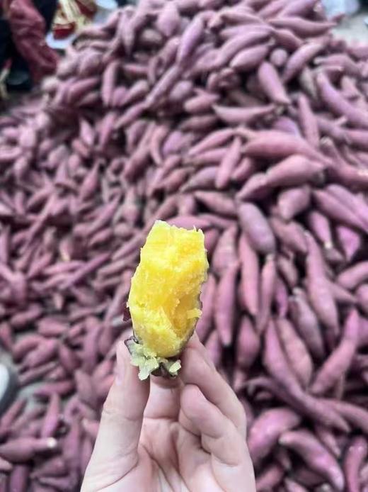 周五取货：【海南沙地小香薯】一袋3斤左右，细腻香甜，美味营养！ 商品图3