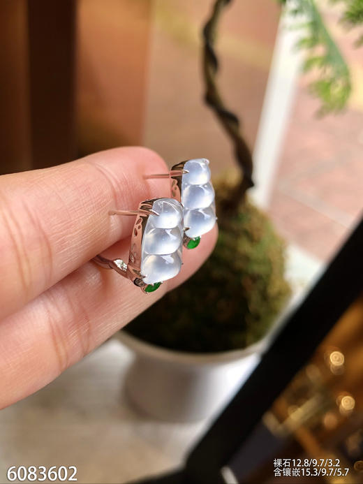 6083602，福豆耳钉。具体价格微信咨询 商品图3