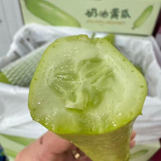 奶油白玉黄瓜 商品图1