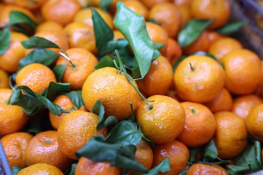 沙糖桔 商品图0