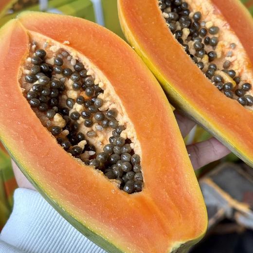 海南冰糖木瓜【3-4粒 净重约5斤】 商品图3