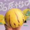 云南树熟人参果【净重约4斤】～有了它~连水都不想喝 爱你所爱，解你之馋因月云南人参果，薄皮厚肉，汁水爆满每一粒足够水足够清甜，超级解渴水份超级足，我得妈呀吃一口完全停不下来的感觉。 商品缩略图4