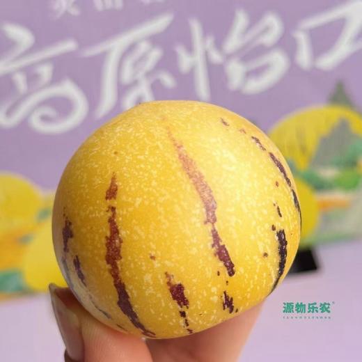 云南树熟人参果【净重约4斤】～有了它~连水都不想喝 爱你所爱，解你之馋因月云南人参果，薄皮厚肉，汁水爆满每一粒足够水足够清甜，超级解渴水份超级足，我得妈呀吃一口完全停不下来的感觉。 商品图4