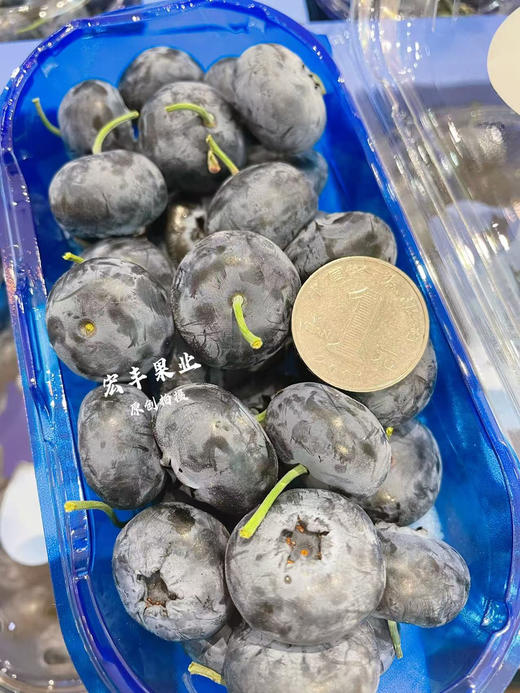【宏丰精选】超大蓝莓，口感纯甜，果粉足，活动价25一盒 商品图1