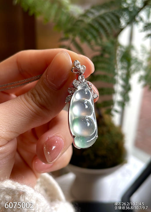 6075002，福豆吊坠，具体价格微信咨询 商品图0