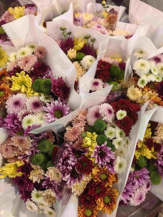 广州本地混色小雏菊10支 商品图10