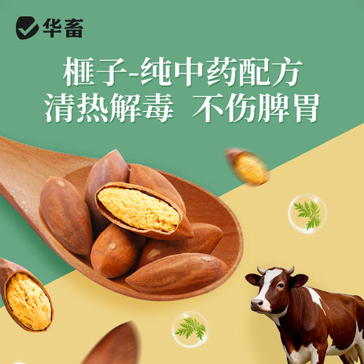 华畜功夫净500g 中药驱虫 球虫绦虫弓形虫等 蛋禽孕畜可用安全有效 商品图3