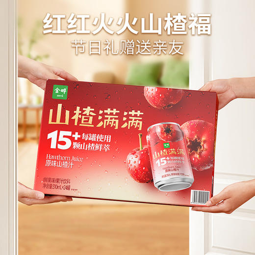 MM 山姆 金晔 山楂满满山楂汁 310ml*24 商品图4