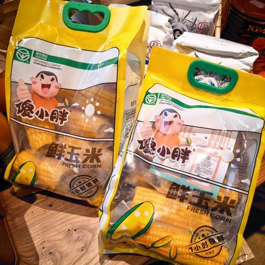 傻小胖鲜玉米（1.8公斤） 商品图0