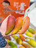 福返辣椒芒🥭💃甜如初恋！核小如针！肉质滑嫩，香甜多汁[色]吃了会上瘾的芒果哦！树上熟 会流蜜 香甜！福星吃货秘笈😊 商品缩略图3