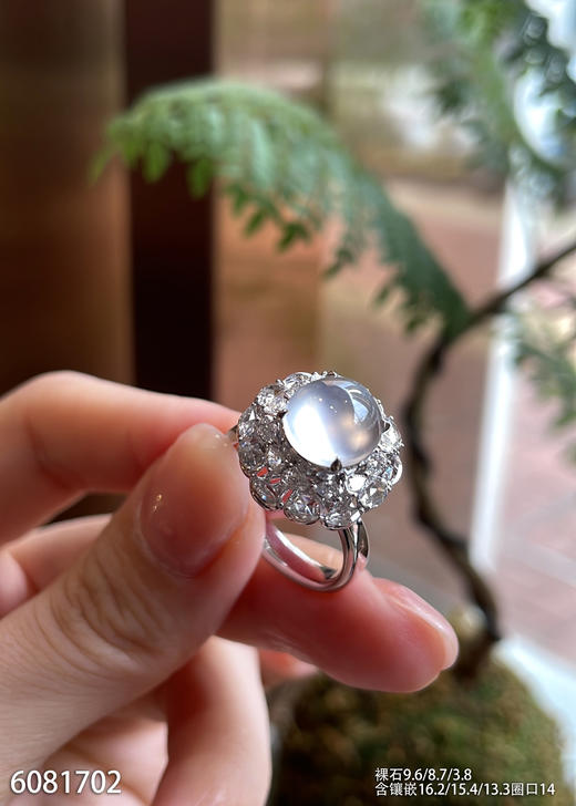 6081702，蛋面戒指。具体价格微信咨询 商品图0