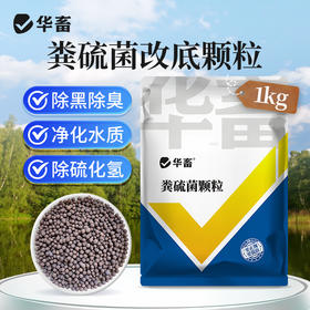 华畜粪硫菌改底颗粒水产养殖调水解毒改底地衣枯草芽孢杆菌底改王